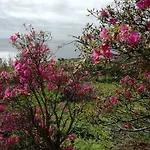 Quinta Do Sol Poente Feteiras