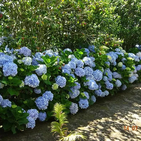 Quinta Do Sol Poente Feteiras