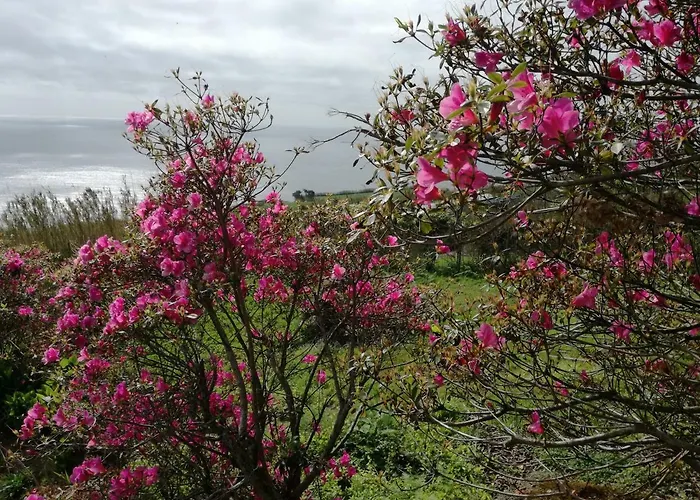 Quinta Do Sol Poente Feteiras