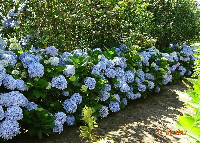 Quinta Do Sol Poente Feteiras